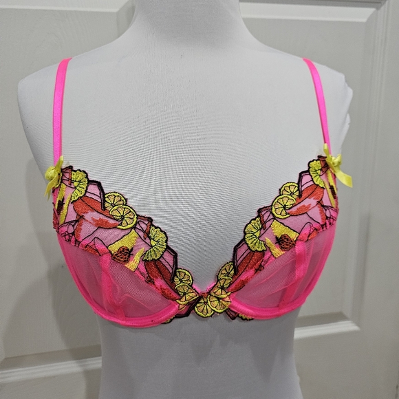 Playful Promises Other - Dolls Kill Playful Promises Mesh Magda Pink Neon Cocktail Embroidery Bra S 32B